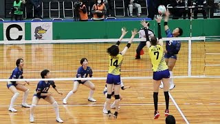 【黒鷲旗2022】金蘭会高校 vs 東レ・アローズ  第１セット ＜女子バレーボール＞