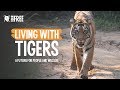 Living with Tigers