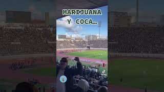 Raja Casablanca Curva Sud New Song Lyrics 🇲🇦💚🔥