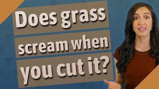 Does grass scream when you cut it?