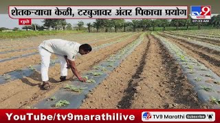 Dhule Breaking | धुळ्यामधील  शेतकऱ्याचा केळी, टरबुजावर अंतर पिकाचा प्रयोग : tv9 Marathi