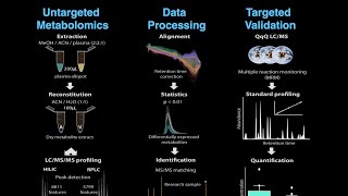 XCMS Institute: HILIC Chromotography and Metabolomic study