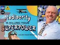 Mediocrity is Killing Your Superpower