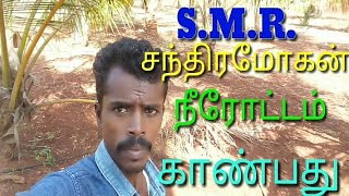 நீரோட்டம் காண்பது