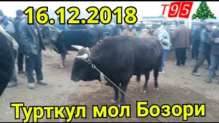 16.12.2018 Турткул Мол Бозори