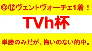 【土曜函館の注目レース】函館メインTVh杯の狙いたい1頭を紹介！この馬の持つ能力に注目！今なら上を目指せる期待したい1頭をここで狙い撃ち！