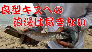 【キス釣り】良型キスへの浪漫は尽きません。今日も良型GET！～福岡糸島唐津の投げ釣り～