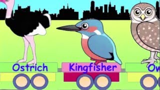 Learn Bird Train - learning for kids