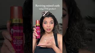 How to Revive Your Curls with Mielle Organics! #mielleorganics #haircare