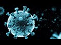 Coronavirus vaccine: Physician discusses COVID-19 vaccination efficacy and risks