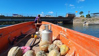 The opening of sea cucumber harvesting season 2023