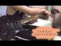 Steve Vai - Tender Surrender [Cover by Sarj]