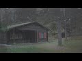 rain sounds in the forest for sleep relaxing meditation 10 hours rain sounds and thunder