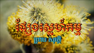 ផ្សែងស្នេហ៍កម្ម (ព្រាប សុវត្ថិ), Lyrics Audio, RHM CD Vol 75, Full HD