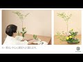 花の定期便　生け方動画 　姫南天　菊　ソネットカーネーション　手毬草（テマリソウ）　レザーファン