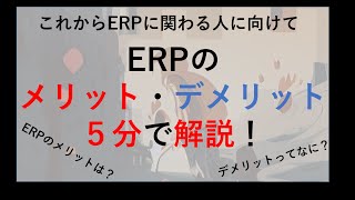 ERPのメリットとデメリット【5分で解説】