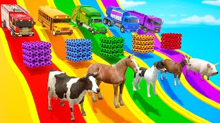 Color Balls & Sing a Song! | Wheels on the Bus Nursery Rhymes | Baby & Kids Songs