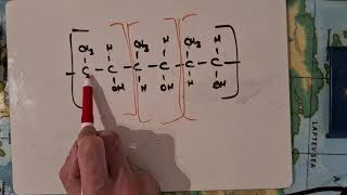 hydrolysis of polymers