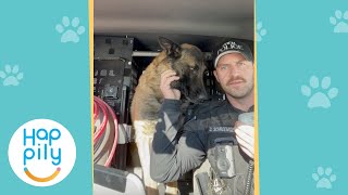 K-9 Gets Final Radio Call For His Retirement