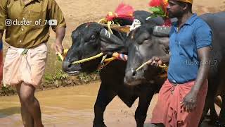 ALADAPADAV | NIDDODI KANA | KUDI | KAMBALA | MOODBIDRI