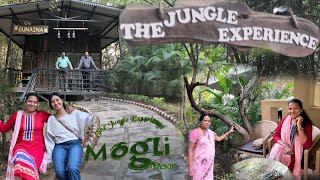 Mogli Resort || Resort Tour || Kanha National Park Madhya Pradesh