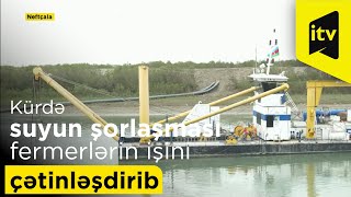 Kürdə suyun şorlaşması fermerlərin işini çətinləşdirib