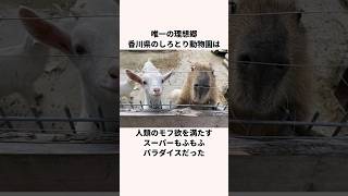 「モフれば良ぇ」香川県のしろとり動物園についての雑学