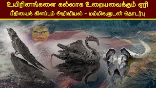 உயிரினங்களை கல்லாக உறையவைக்கும் ஏரி எகிப்திய மம்மிகளுடன் தொடர்பு பீதியை கிளப்பும் அறிவியல்