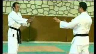 UECHI-RYU KARATE-DO FROM OKINAWA VOLUME 1