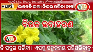 ଖୋର୍ଦ୍ଧା ରେ ଶିକ୍ଷିତ ଯୁବକଙ୍କୁ ଲକ୍ଷପତି କରିଲା ପରିବା ଚାଷ,educated youth a millionaire in Khurda.@OnmNews