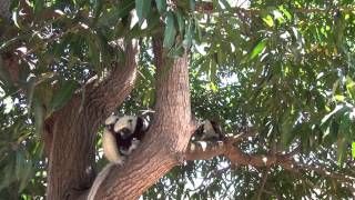 Madagascar - Les Alentours de Majunga