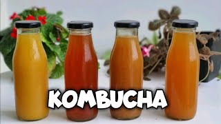 KOMBUCHA |Foodie Sha|