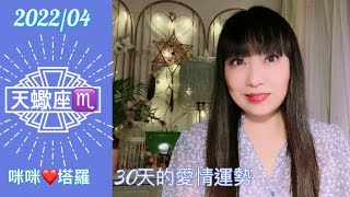 天蠍座4月愛情占卜☆ 咪咪❤️塔羅♏️Scorpio April 2022 Love Tarot Reading