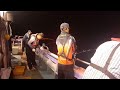 fishing 진해갈치 왕갈치 대박 행진 첫 줄조