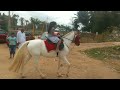 horse reddy gana with jnanavi horse white colour horse horse wapking gana ಏಕಾಂಗಿಯಾಗಿ ಕುದುರೆ ರೈಡಿಂಗ್