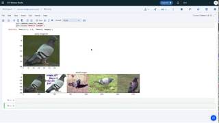 Feature Extraction and Reverse Image Search on Caltech-101 Dataset on IBM Watson Studio using a CPU