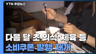 다음 달 초 외식·체육 등 소비쿠폰 발행 재개 / YTN