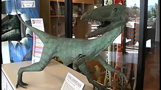 Museum in a Minute: Coelophysis