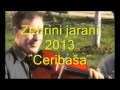 zehro i sejo ceribaša 2013.