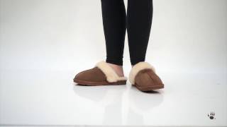 Bearpaw Women's Loki Slippers