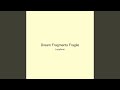 Dream Fragments Fragile