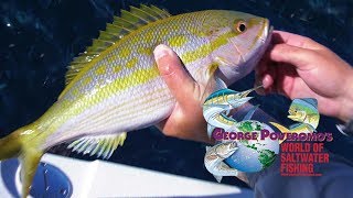 2019 SEASON - Episode 12 , Islamorada, FL Keys - 4K