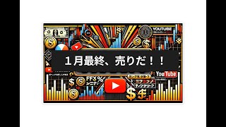 【せみFX】【100万円でFX】１月ラスト、売りで勝負