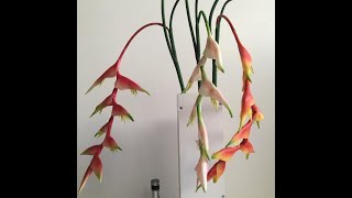 Decorative Bird of Paradise Heliconia  Artificial Garden Flower