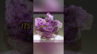 Sugilite Explained...  #crystal #explained #minerals #fypシ #geologypage #mining #viral #viralshorts