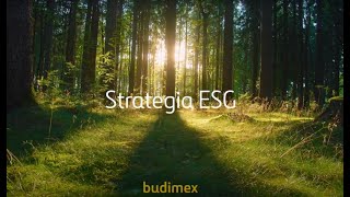 Strategia ESG 2023-2026 Budimex SA