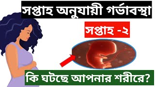 গর্ভাবস্থার ২য় সপ্তাহ।। সপ্তাহ অনুযায়ী গর্ভাবস্থা -২।। গর্ভাবস্থার দ্বিতীয় সপ্তাহের লক্ষণ ও করনিয়