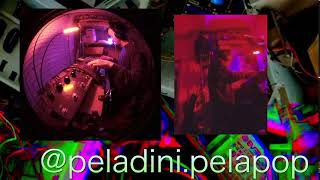 PELADINI - Live from Brooklyn