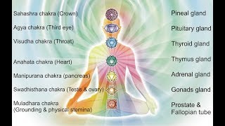 Your Glands are the Chakras