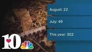 Knox County suspected overdose deaths